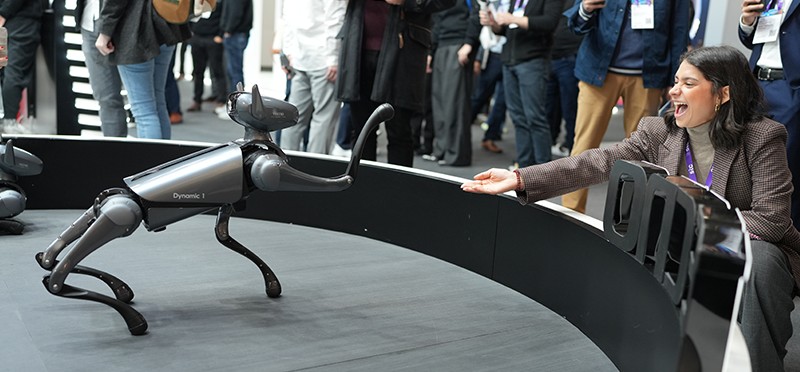 Woman extending her hand to a robotic dog